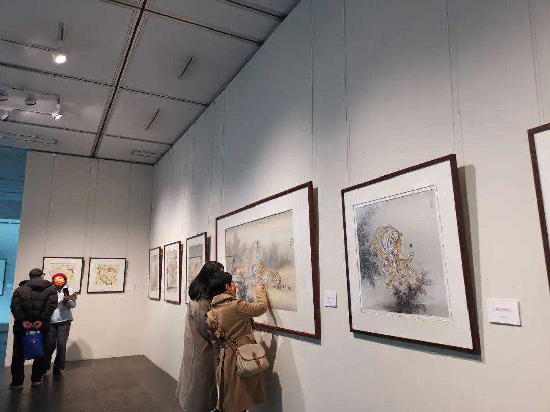 “可盐可甜”！有猛虎，也有萌虎，这个展览等你来逛