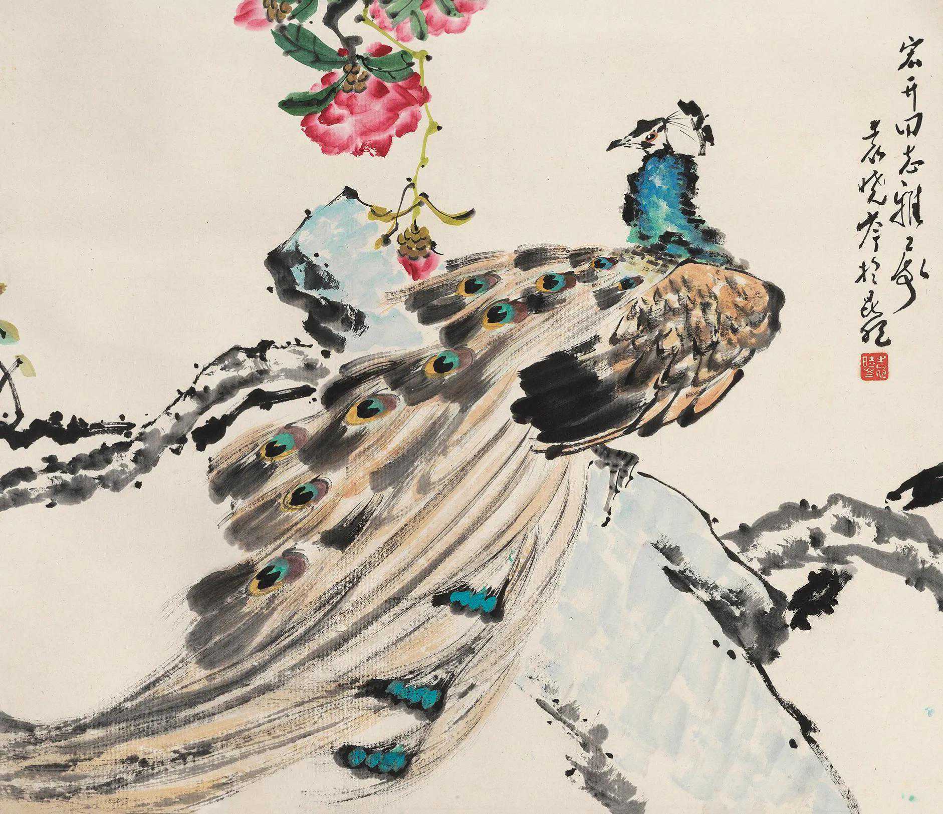 袁晓岑 孔雀