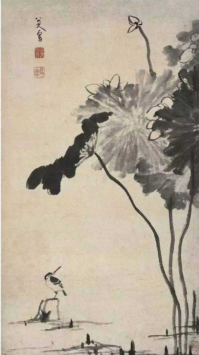 伏暑天赏八大山人的墨荷，倍感清凉
