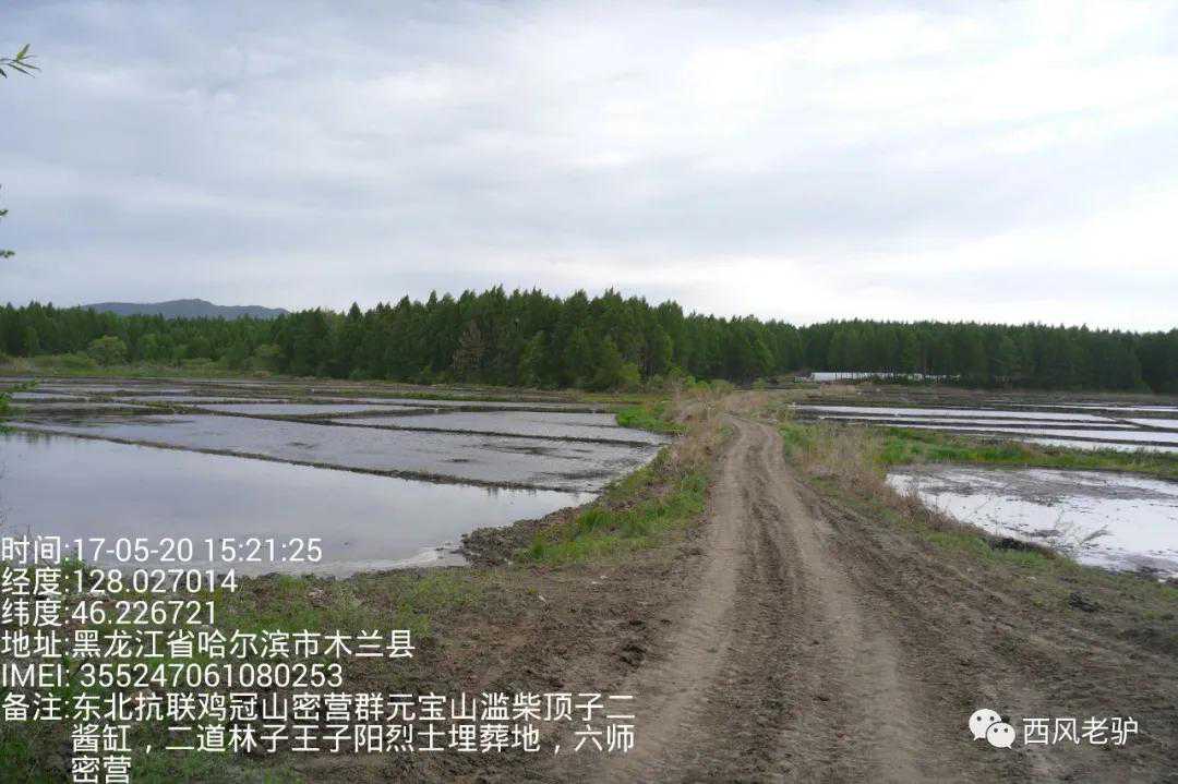 《悬崖之上》～东北抗联传奇英雄王子阳将军发掘记