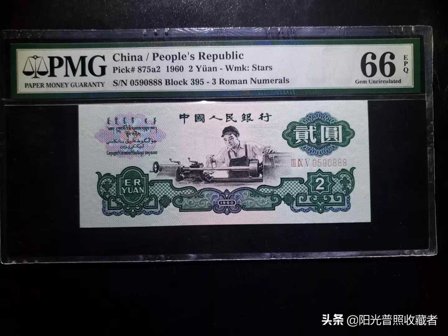 有一种云南“极品”兰花，多次斩获金奖、特金奖，市场价值不菲