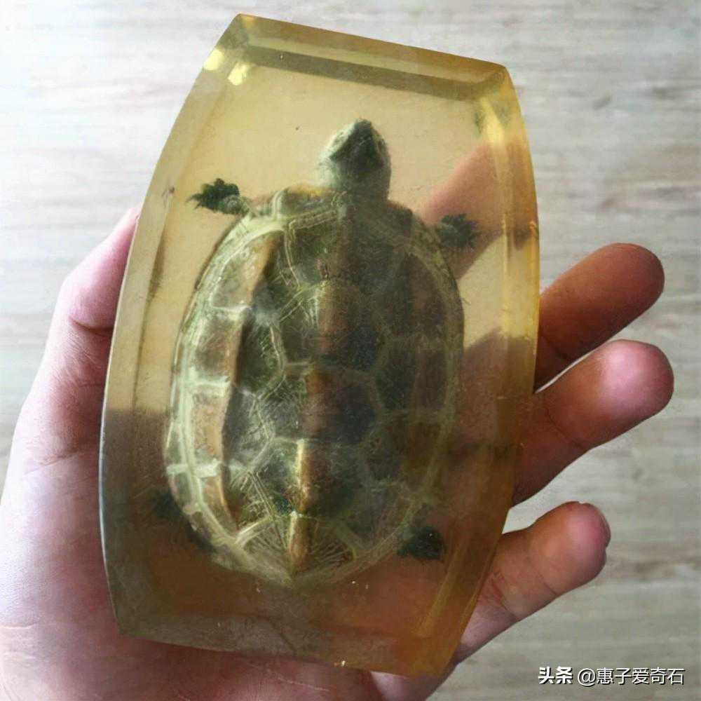 最贵的化石拍出2.16亿，但有些“化石”并非化石