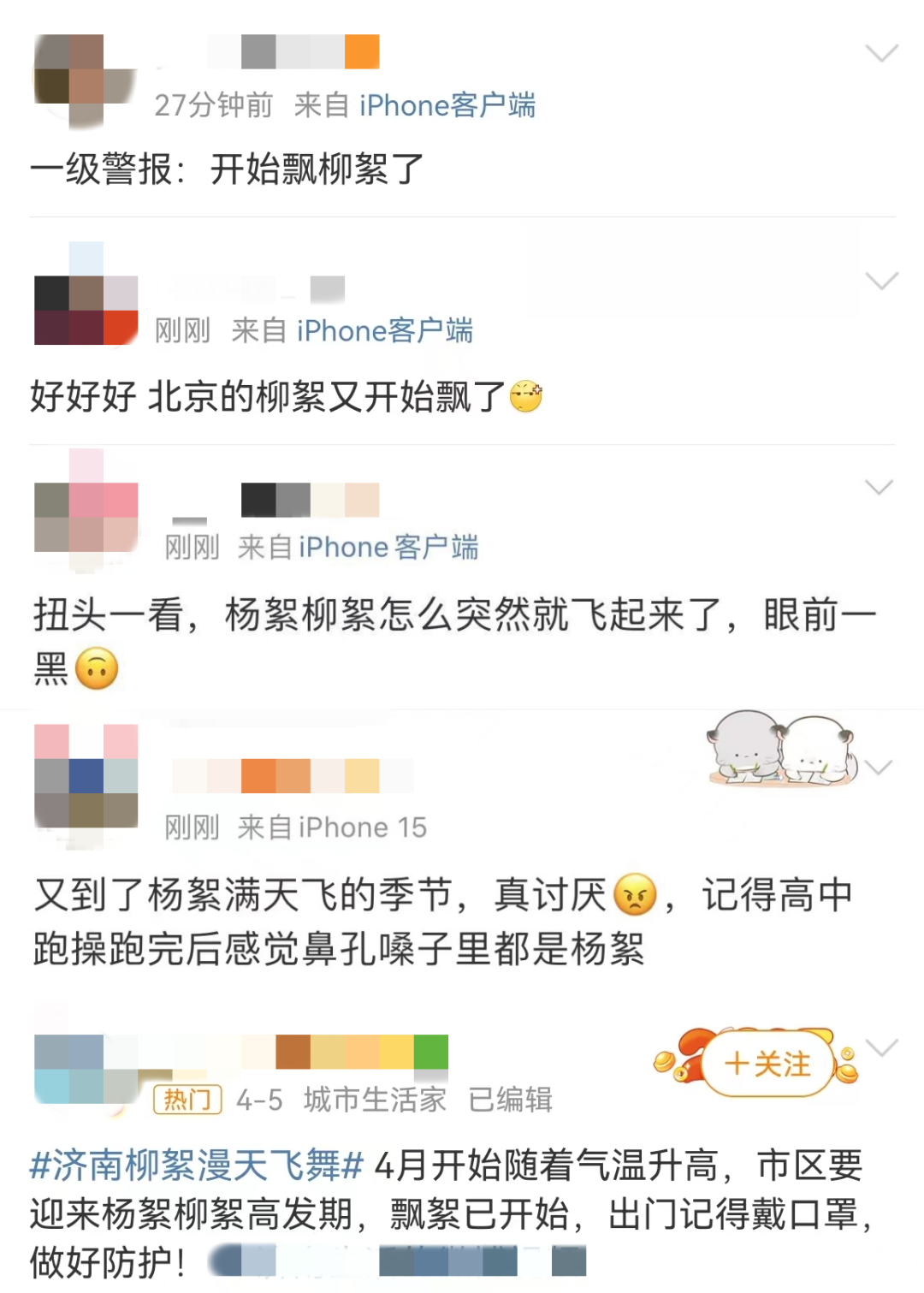 飞絮又来了！武汉疾控提醒