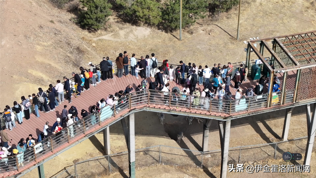 清明假期，鄂尔多斯市接待游客114.87万人次！旅游收入8.61亿元！