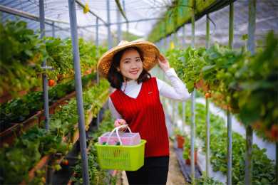 由“嘉定三屠”谈起，南明知识分子的挽歌（下）